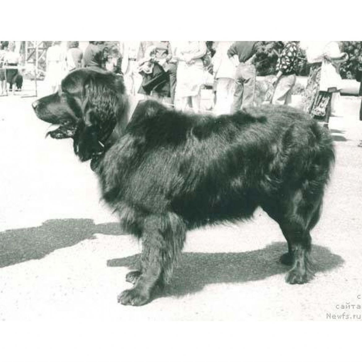 T Omega Molliden (01-01-1987)